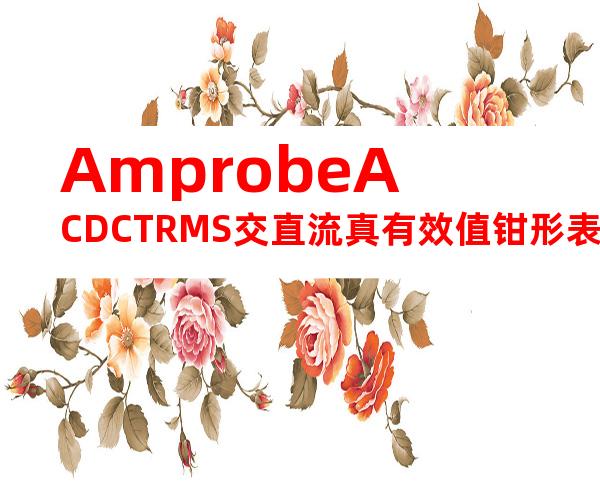 AmprobeACDCTRMS交直流真有效值钳形表