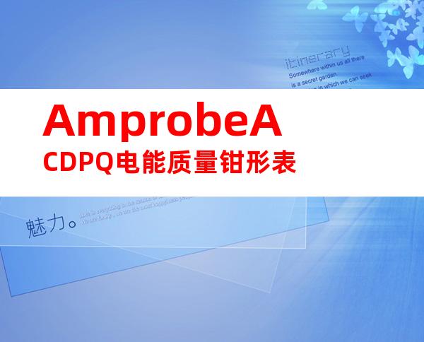 AmprobeACDPQ电能质量钳形表