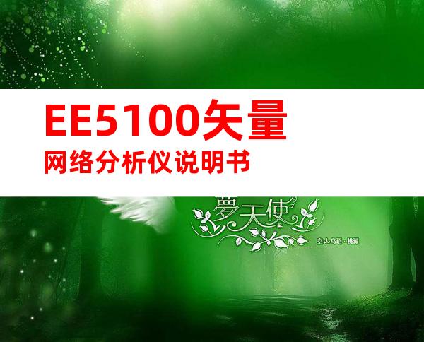EE5100矢量网络分析仪说明书