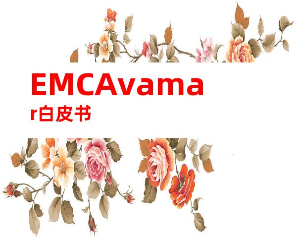 EMCAvamar白皮书