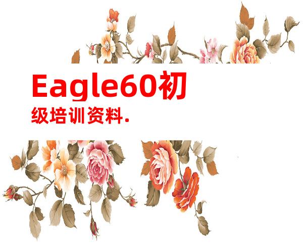 Eagle60初级培训资料.