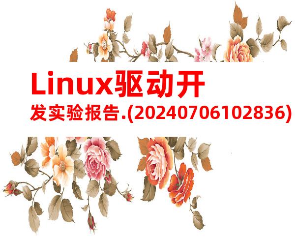 Linux驱动开发实验报告.(20240706102836)