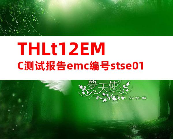 THLt12EMC测试报告emc编号stse01