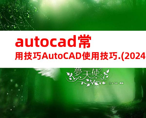 autocad常用技巧AutoCAD使用技巧.(20240718134953)