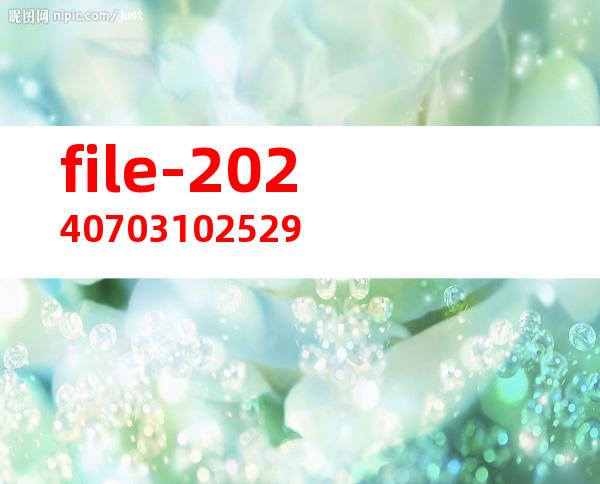 file-20240703102529