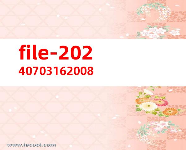 file-20240703162008