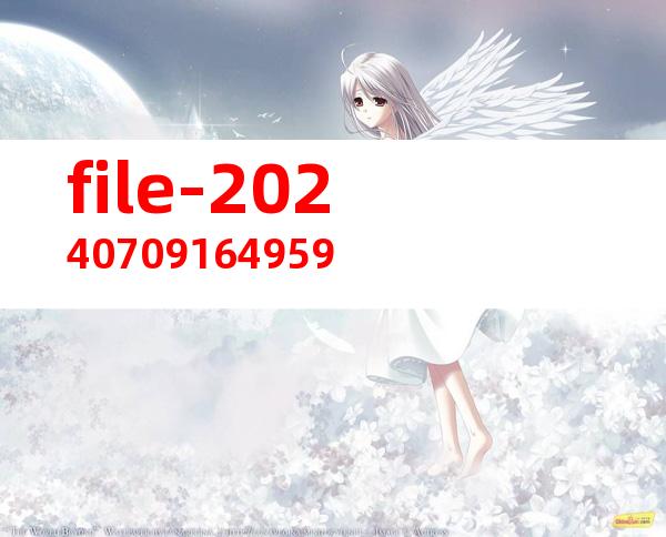 file-20240709164959