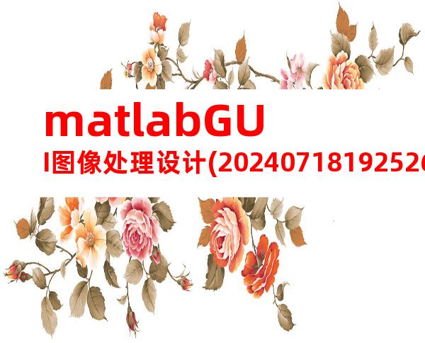 matlabGUI图像处理设计(20240718192526)
