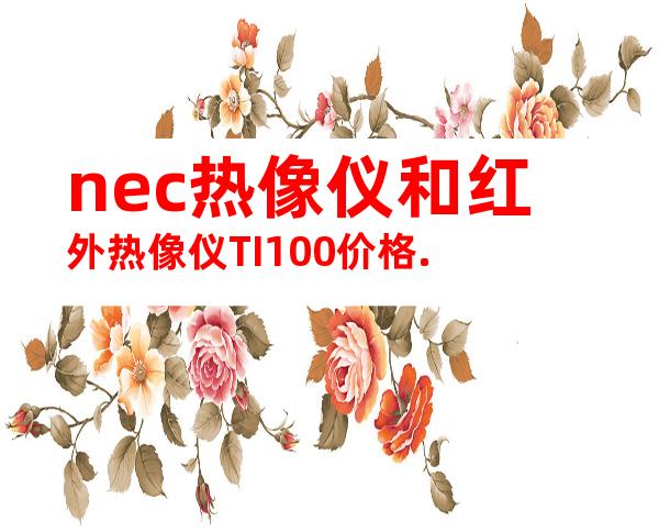nec热像仪和红外热像仪TI100价格.