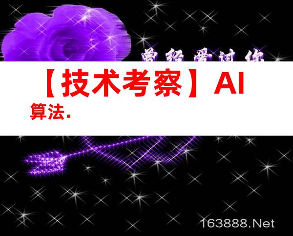 【技术考察】AI算法.
