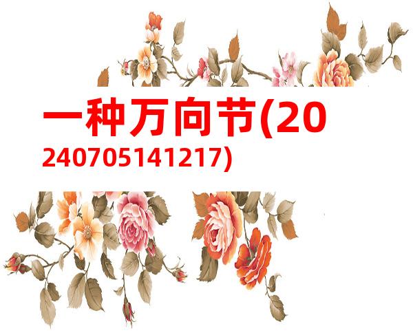 一种万向节(20240705141217)