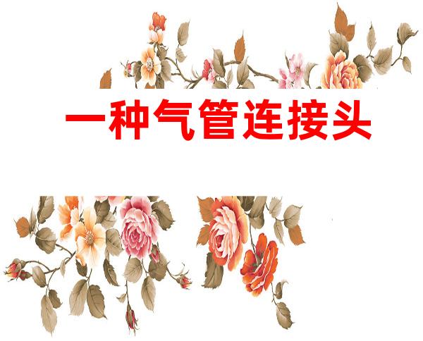 一种气管连接头