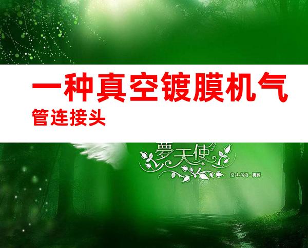一种真空镀膜机气管连接头