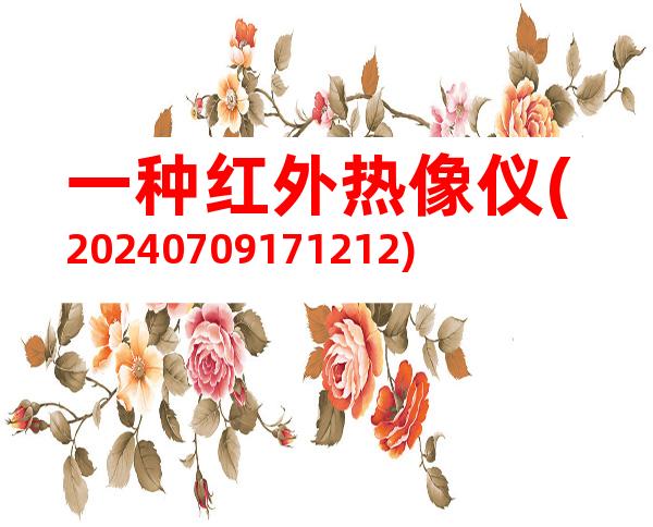 一种红外热像仪(20240709171212)