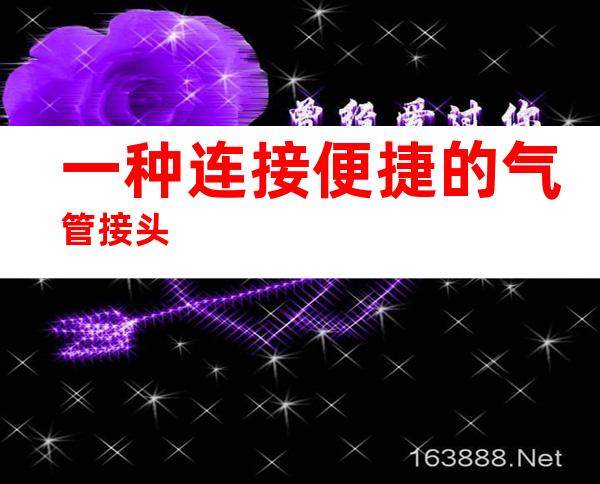 一种连接便捷的气管接头