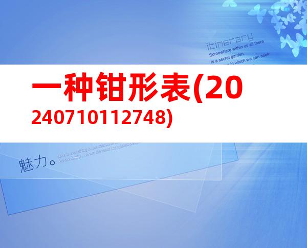 一种钳形表(20240710112748)