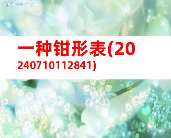 一种钳形表(20240710112841)