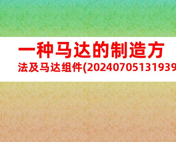 一种马达的制造方法及马达组件(20240705131939)