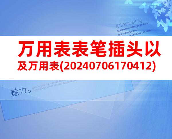 万用表表笔插头以及万用表(20240706170412)