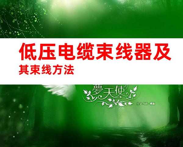 低压电缆束线器及其束线方法