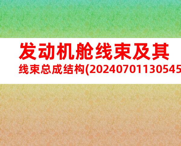 发动机舱线束及其线束总成结构(20240701130545)