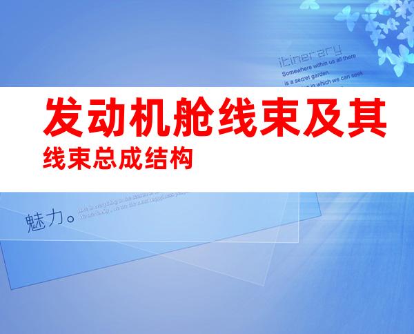 发动机舱线束及其线束总成结构