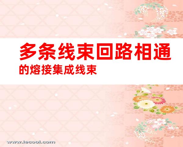 多条线束回路相通的熔接集成线束