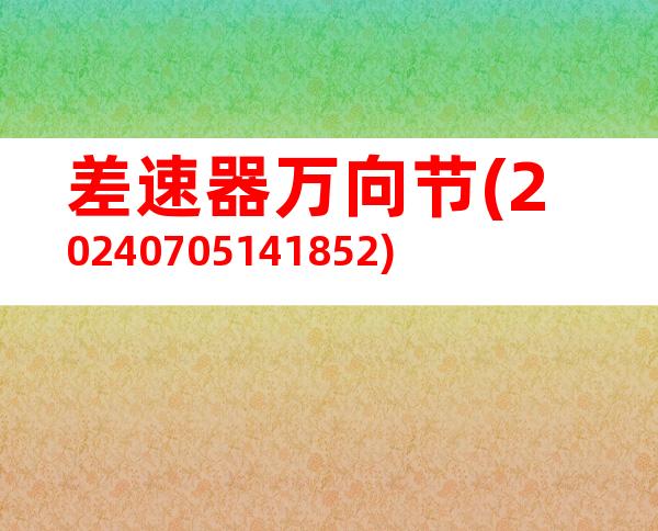 差速器万向节(20240705141852)