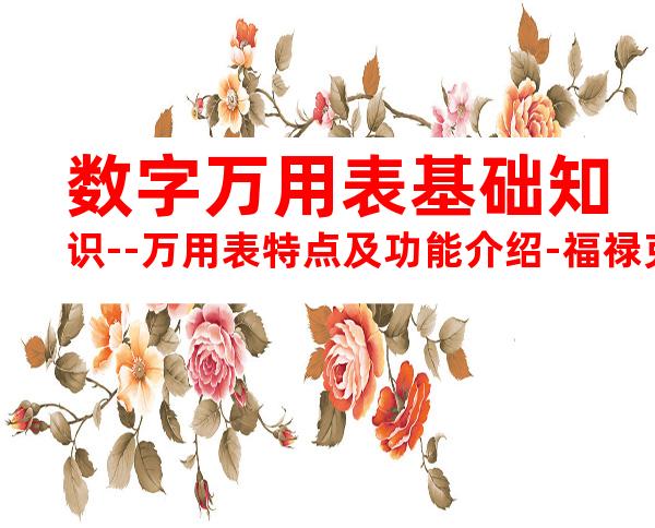 数字万用表基础知识--万用表特点及功能介绍-福禄克(Fluke)