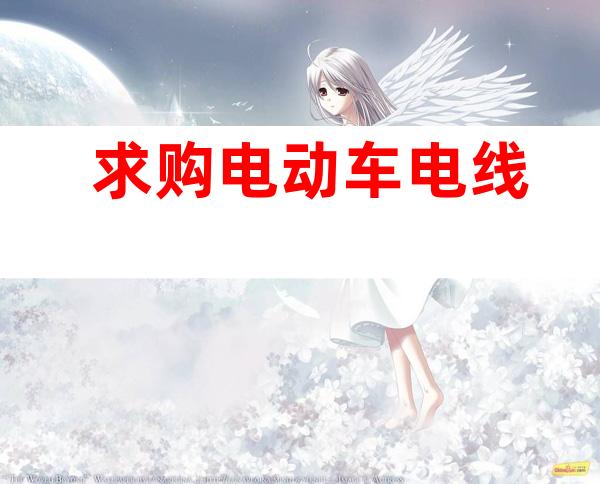 求购电动车电线