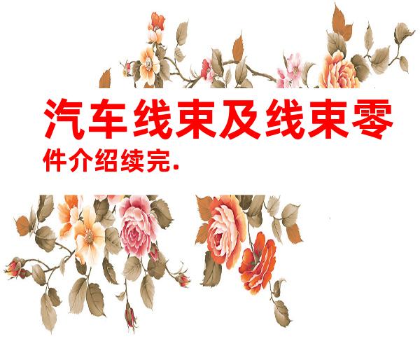 汽车线束及线束零件介绍续完.