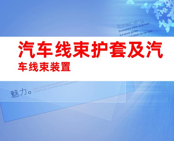 汽车线束护套及汽车线束装置