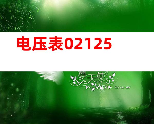 电压表02125