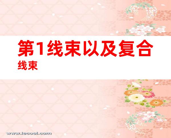 第1线束以及复合线束