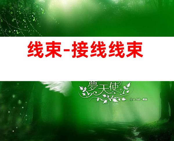 线束-接线线束