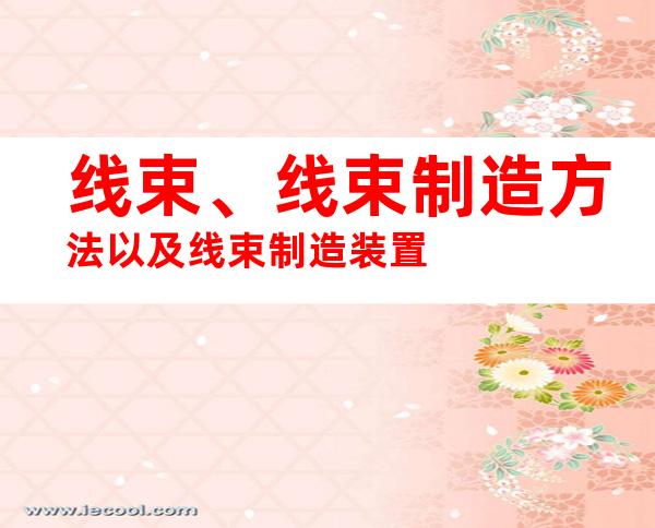 线束、线束制造方法以及线束制造装置