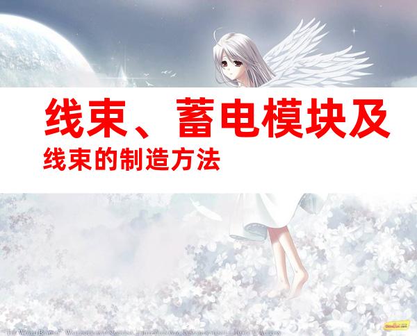 线束、蓄电模块及线束的制造方法