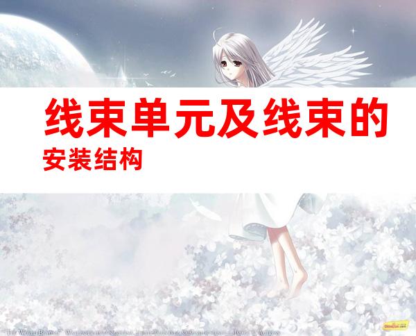 线束单元及线束的安装结构