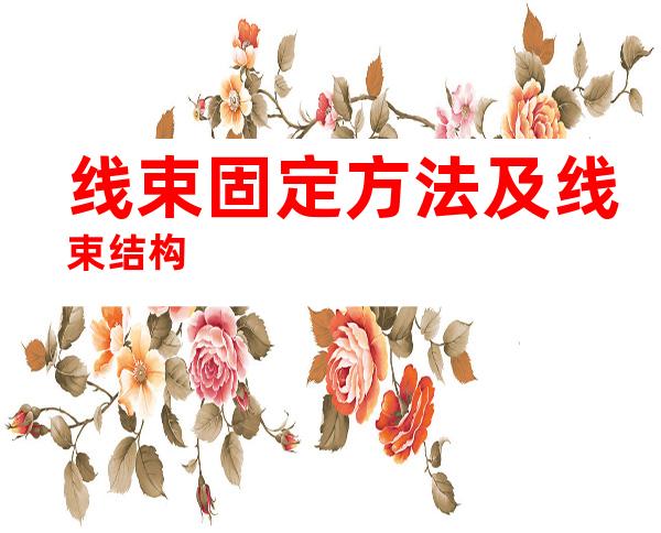 线束固定方法及线束结构