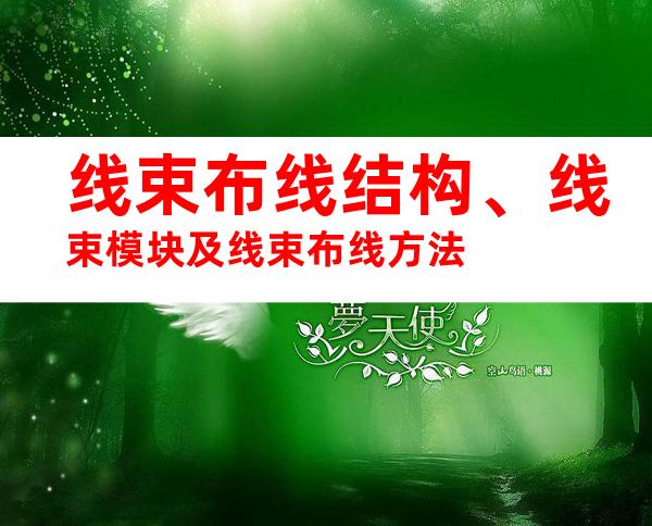 线束布线结构、线束模块及线束布线方法
