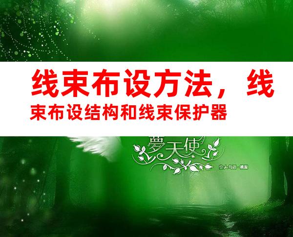 线束布设方法，线束布设结构和线束保护器
