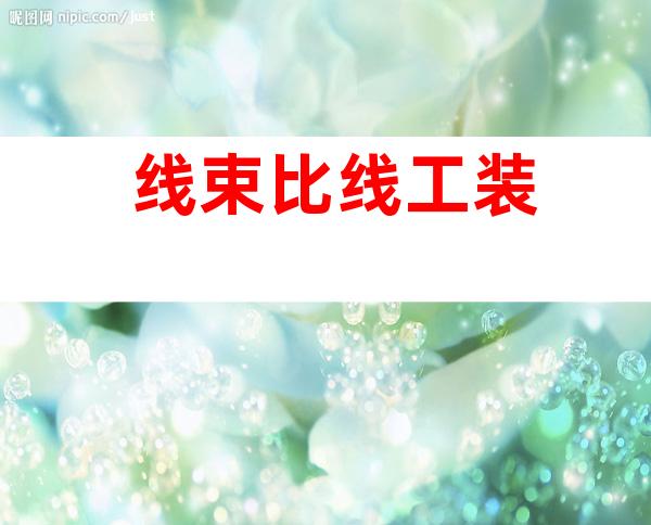 线束比线工装