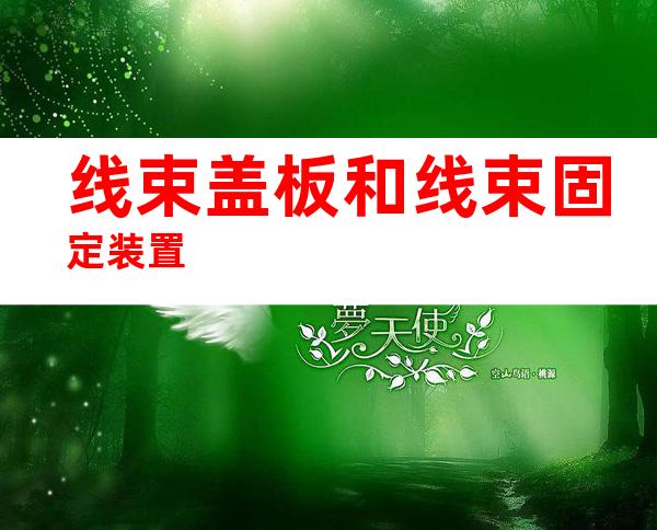 线束盖板和线束固定装置