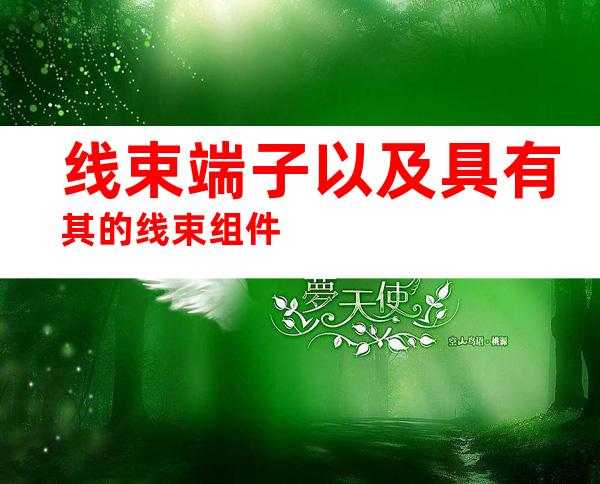 线束端子以及具有其的线束组件