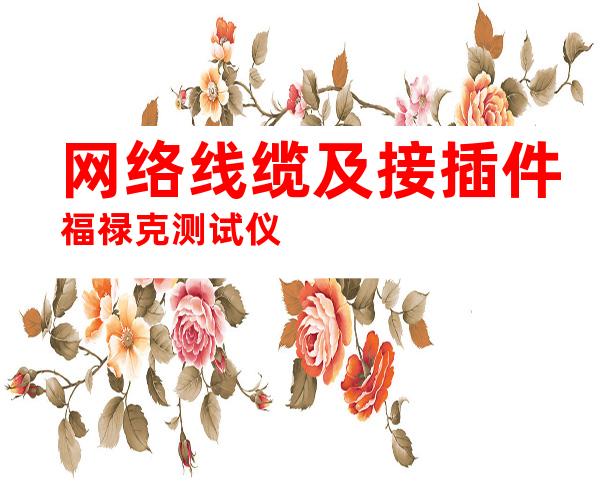 网络线缆及接插件福禄克测试仪